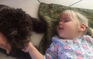 Disabled child with Cobberdog